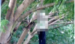 Nam thanh niên chết trong tư thế treo cổ trên cành cây trâm